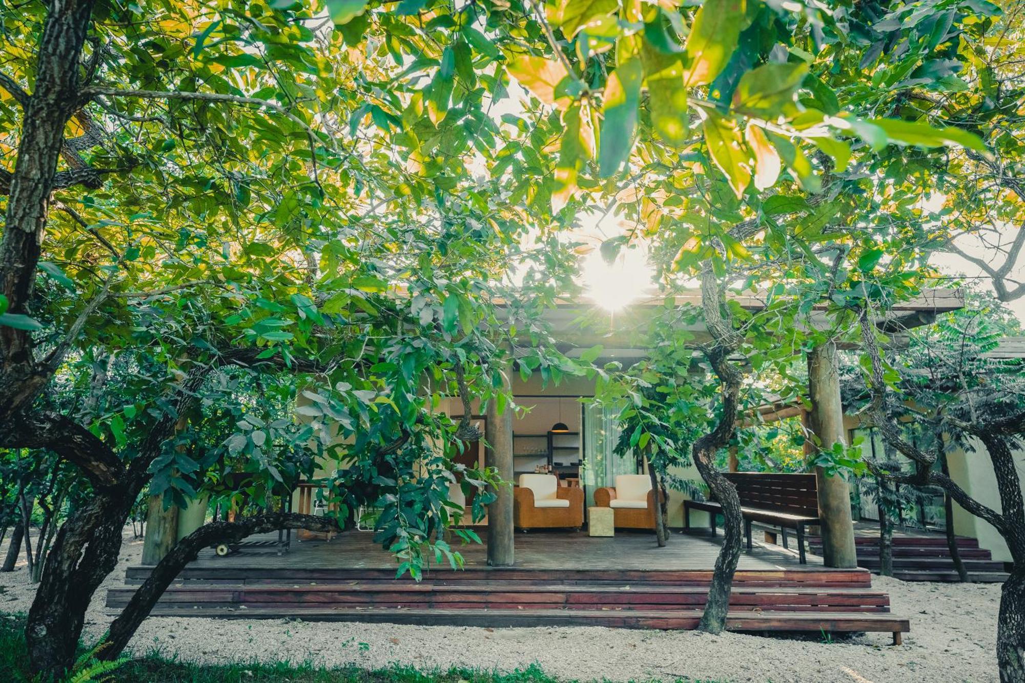 Bagua Bangalos São Jorge Extérieur photo